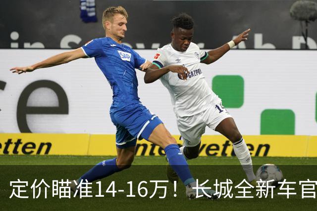 定价瞄准14-16万！长城全新车官宣，年内就能买到