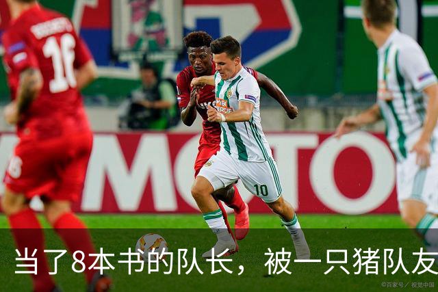 当了8本书的队长，被一只猪队友挤下台？新队长竟是女神